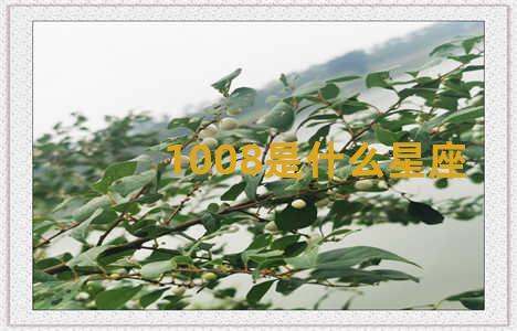 1008是什么星座