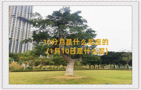 10分月是什么星座的(1月10日是什么星)