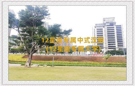 12星座专属中式汉服(12星座专属大学)