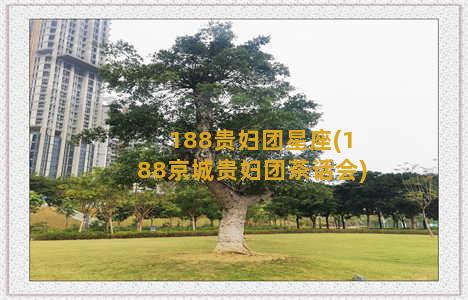 188贵妇团星座(188京城贵妇团茶话会)