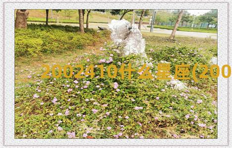 2002410什么星座(2002410农历)