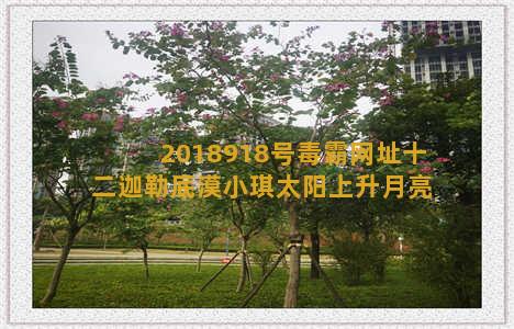 2018918号毒霸网址十二迦勒底漠小琪太阳上升月亮