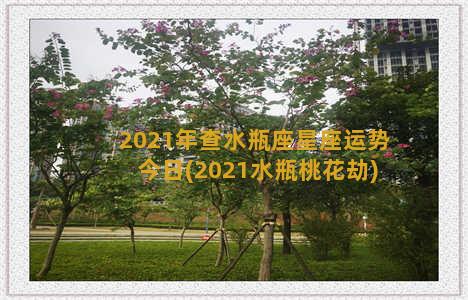 2021年查水瓶座星座运势今日(2021水瓶桃花劫)