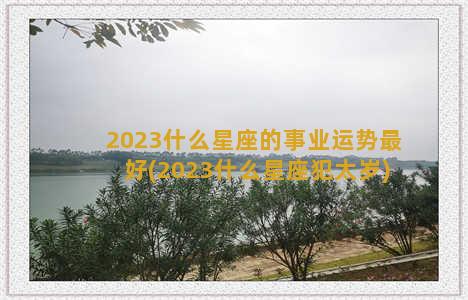 2023什么星座的事业运势最好(2023什么星座犯太岁)