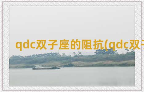 qdc双子座的阻抗(qdc双子座评测)