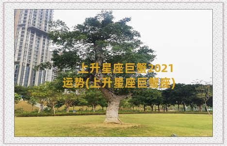 上升星座巨蟹2021运势(上升星座巨蟹座)