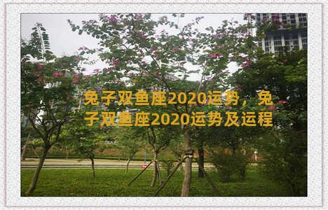 兔子双鱼座2020运势，兔子双鱼座2020运势及运程