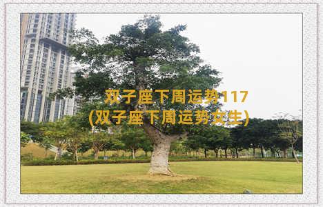 双子座下周运势117(双子座下周运势女生)