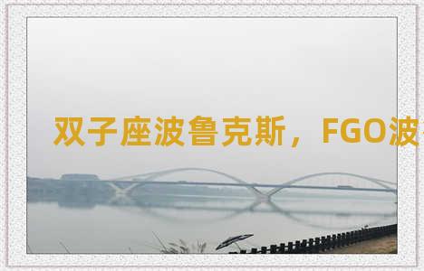 双子座波鲁克斯，FGO波鲁克斯