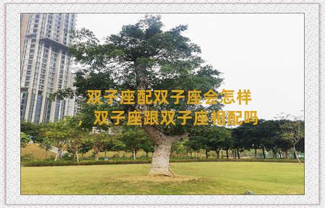 双子座配双子座会怎样，双子座跟双子座相配吗