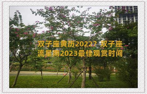 双子座黄历2022？双子座流星雨2023最佳观赏时间