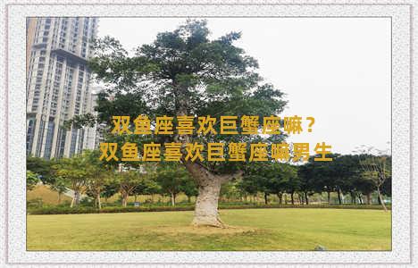 双鱼座喜欢巨蟹座嘛？双鱼座喜欢巨蟹座嘛男生