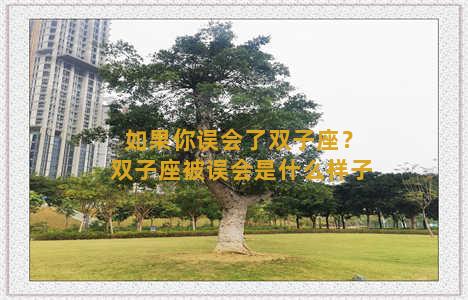 如果你误会了双子座？双子座被误会是什么样子