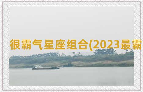 很霸气星座组合(2023最霸气的星座)