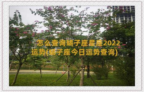 怎么查询蝎子座星座2022运势(蝎子座今日运势查询)