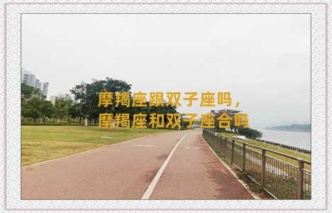 摩羯座跟双子座吗，摩羯座和双子座合吗