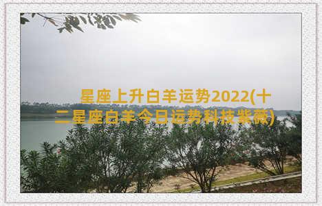 星座上升白羊运势2022(十二星座白羊今日运势科技紫薇)