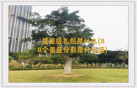 星座级礼包是什么(88个星座分别是什么座)