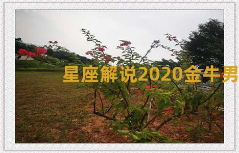 星座解说2020金牛男