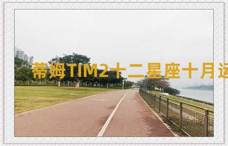 蒂姆TIM2十二星座十月运势2021