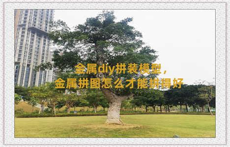 金属diy拼装模型，金属拼图怎么才能拼得好